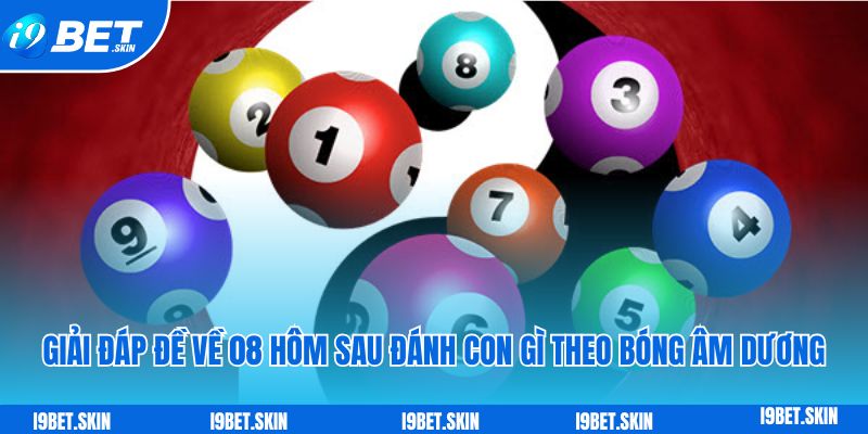 Giải đáp đề về 08 hôm sau đánh con gì theo bóng âm dương